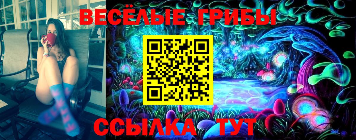 Соль-Илецк  Галлюциногенные грибы Psilocybe  Вход с VPN 